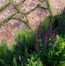 Load image into Gallery viewer, Öland röd marksten