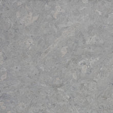 Load image into Gallery viewer, Öland limestone Hors brushed