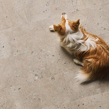Load image into Gallery viewer, Hoburg kalksten slipad